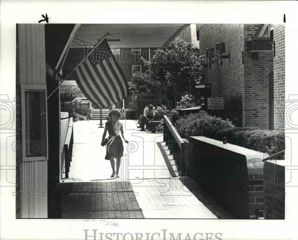 1983 Press Photo American flag still waves at Berea, Ohio Commons - cvb01716 - Historic Images