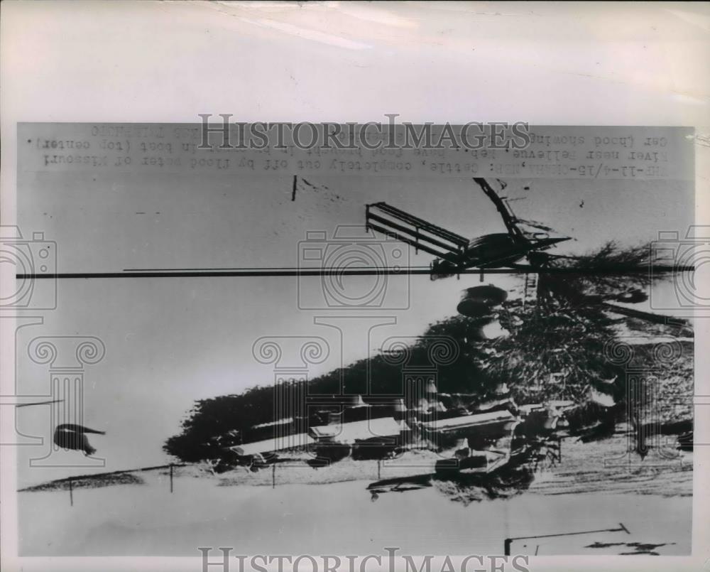1952 Press Photo Aerial view of stranded cattlecut off by Nebraska floods - Historic Images