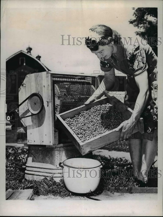 1945 Press Photo Mrs Don Hansen with pea hulling machine at Moline Illinois - Historic Images