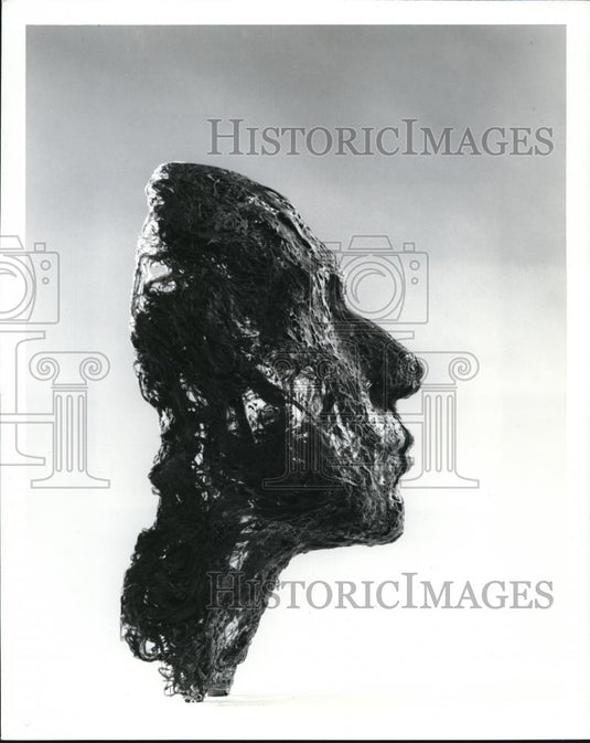 1993 Press Photo Head by Magdalena Abakanowicz - cva78283 - Historic Images