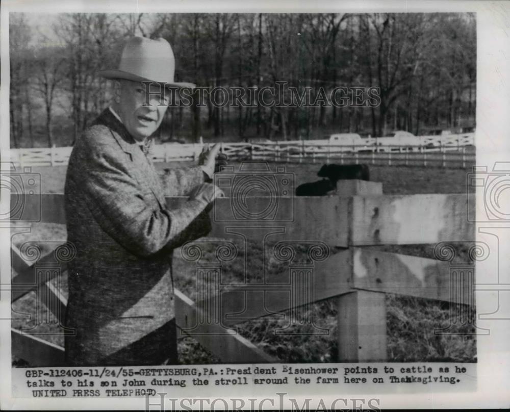 1955 Press Photo President Eisenhower &amp; cattle on Gettysburg Pa farm - nee84902 - Historic Images