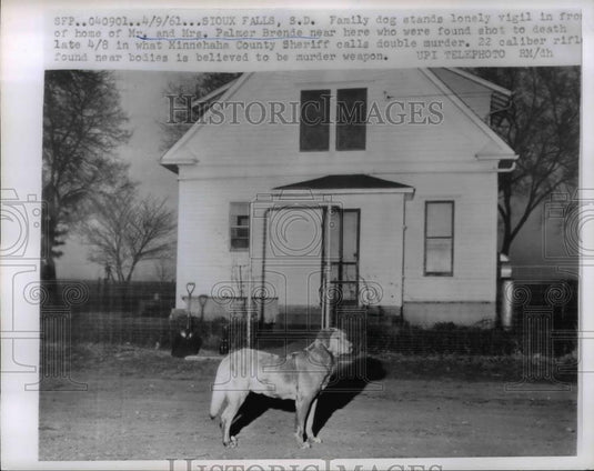 1961 Press Photo Dog at scene where Mr & Mrs Palmer Brenie killed in Sioux Falls - Historic Images