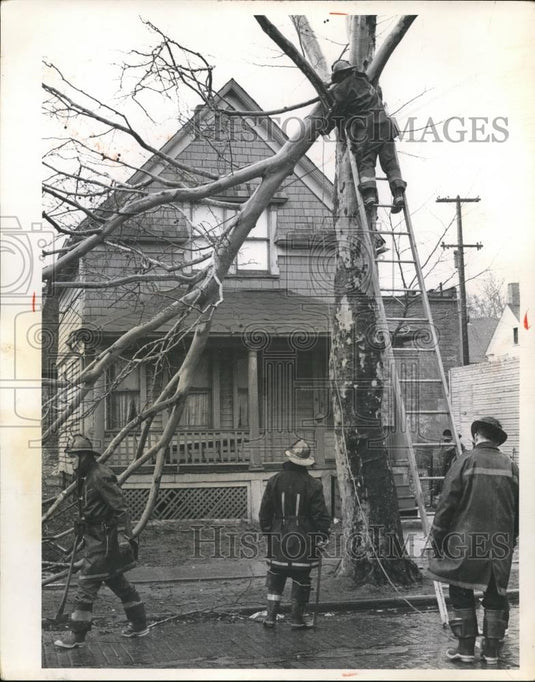 1965 Press Photo Firemen clearing a tree in front of a house - cva83043 - Historic Images