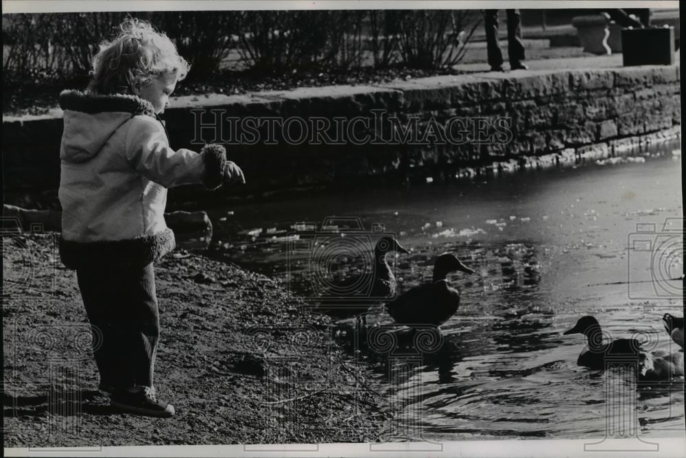 Press Photo Hylie Flournoy feeding ducks in Cleveland Ohio - nee85656 - Historic Images