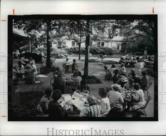 1979 Press Photo The Museum's Outdoor Garden Court - cva89492 - Historic Images