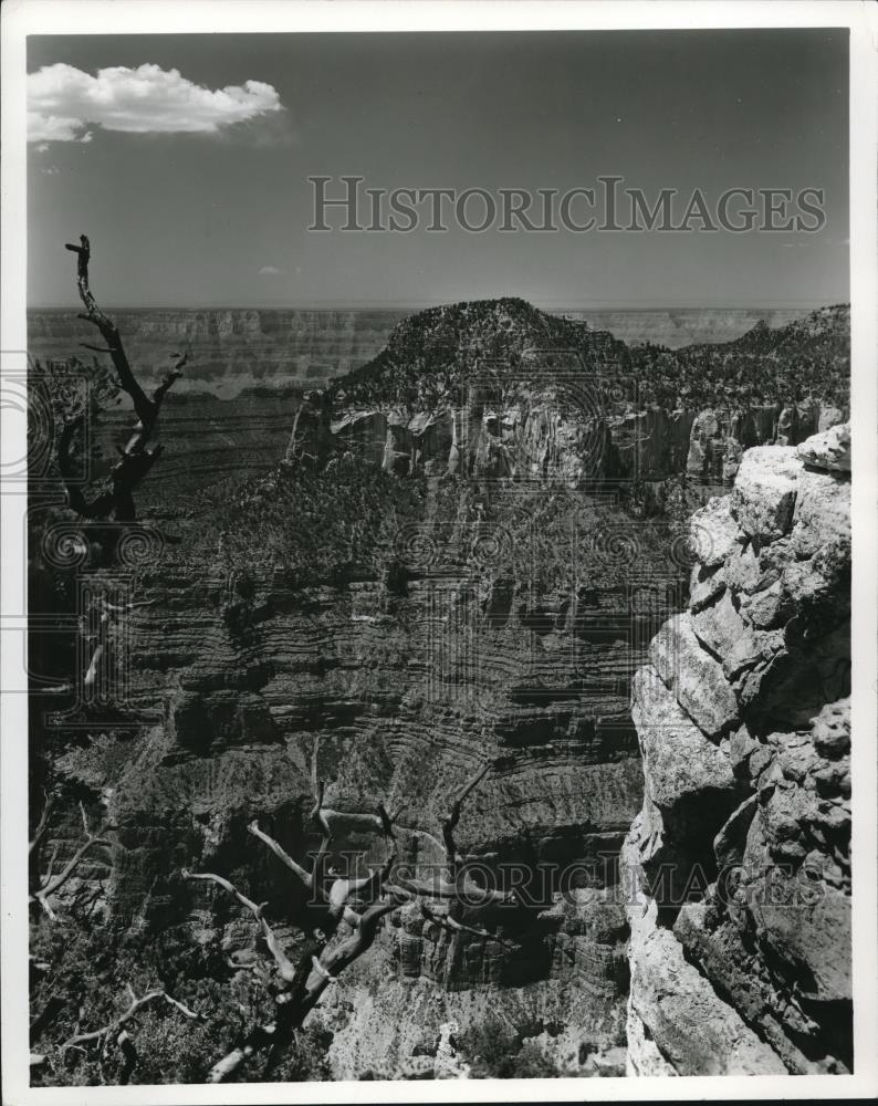 Press Photo The Grand Canyon looking South from Bright Angel point - cva78688 - Historic Images