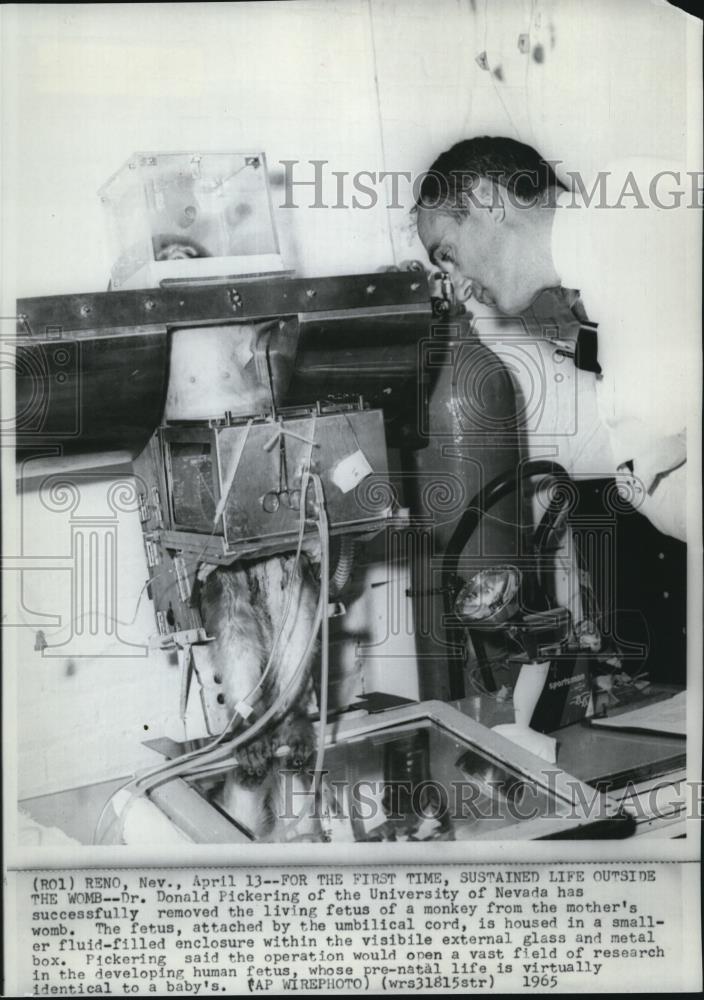 1966 Wire Photo Dr. Donald Pickering of the University of Nevada - cvw09152 - Historic Images
