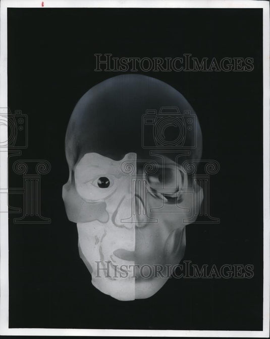 1979 Press Photo A Self Portrait - cva86709 - Historic Images
