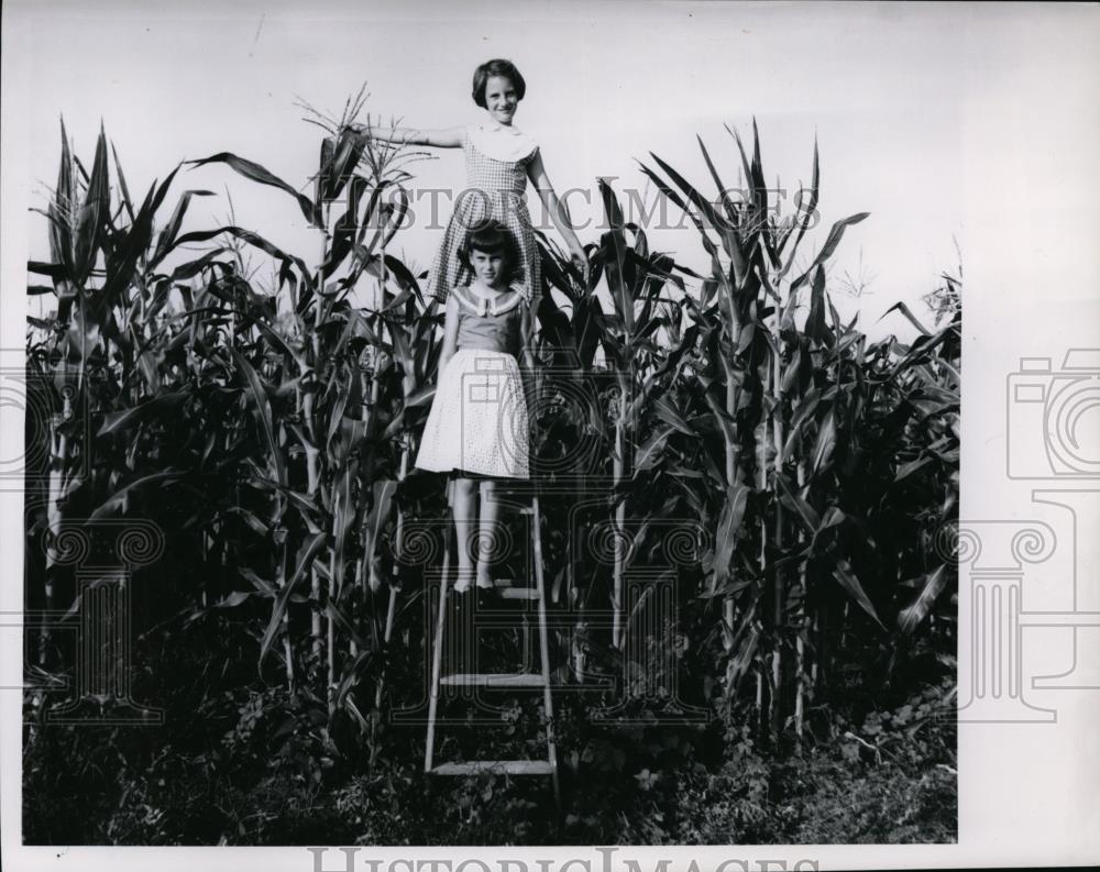 1962 Press Photo Beth Vieck &amp; Mary Jo Primus in a Indiana corn field - nee88040 - Historic Images