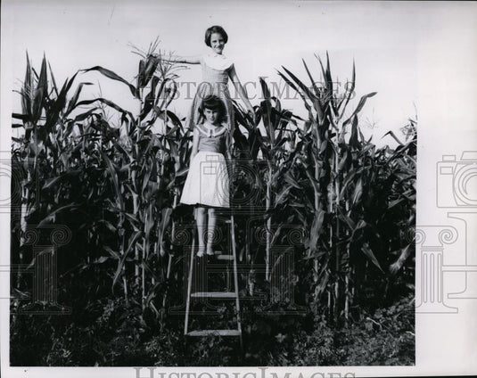 1962 Press Photo Beth Vieck & Mary Jo Primus in a Indiana corn field - nee88040 - Historic Images