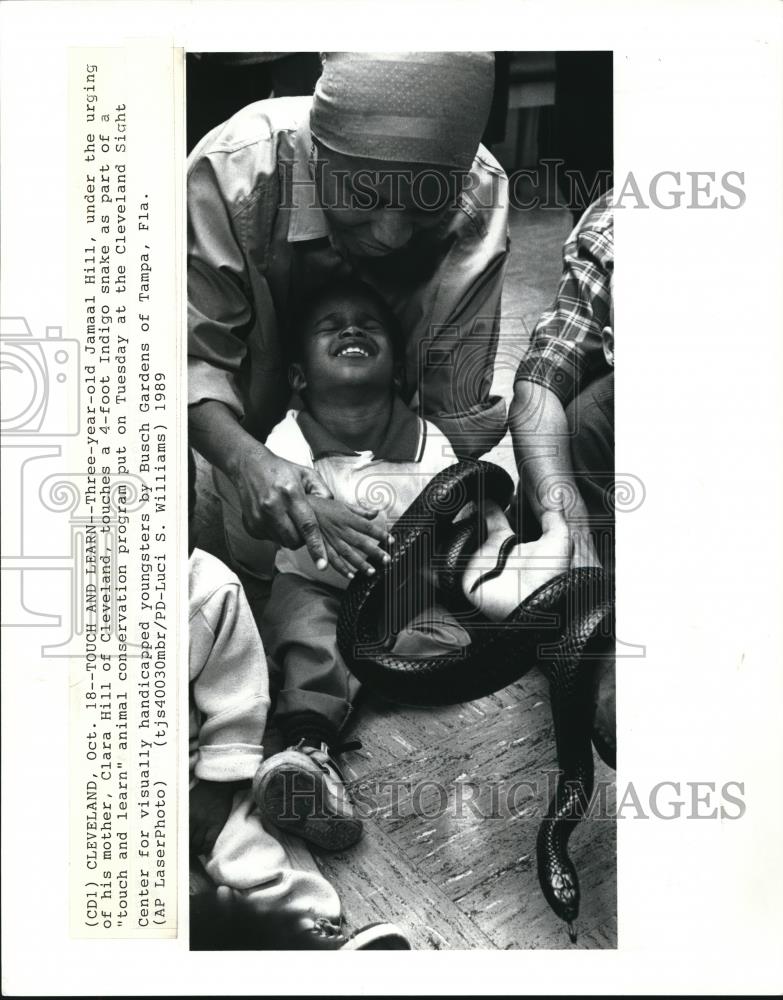 1989 Press Photo Jamaal Hill touches a Indigo snake as part of animal program - Historic Images