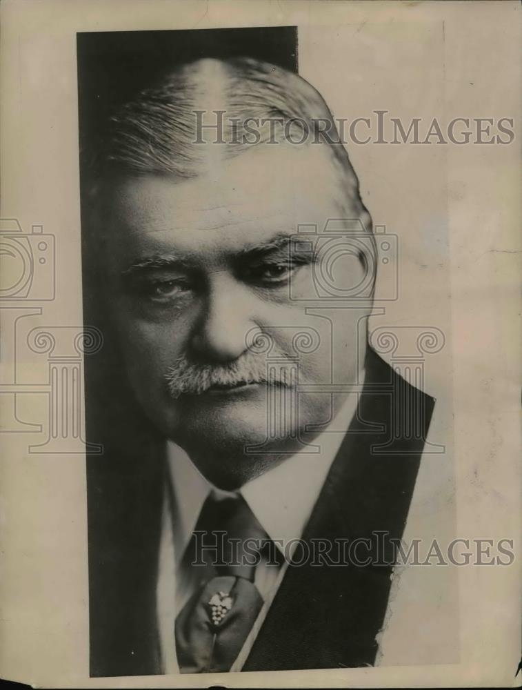 1933 Press Photo William A Pinkerton head of detective agency - nee83780 - Historic Images