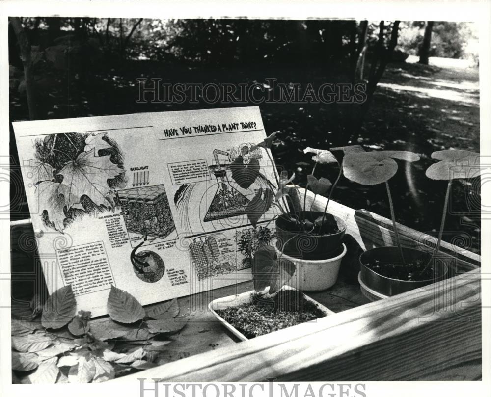 1983 Press Photo Shaker Lakes Regional Nature Center - cva76585 - Historic Images