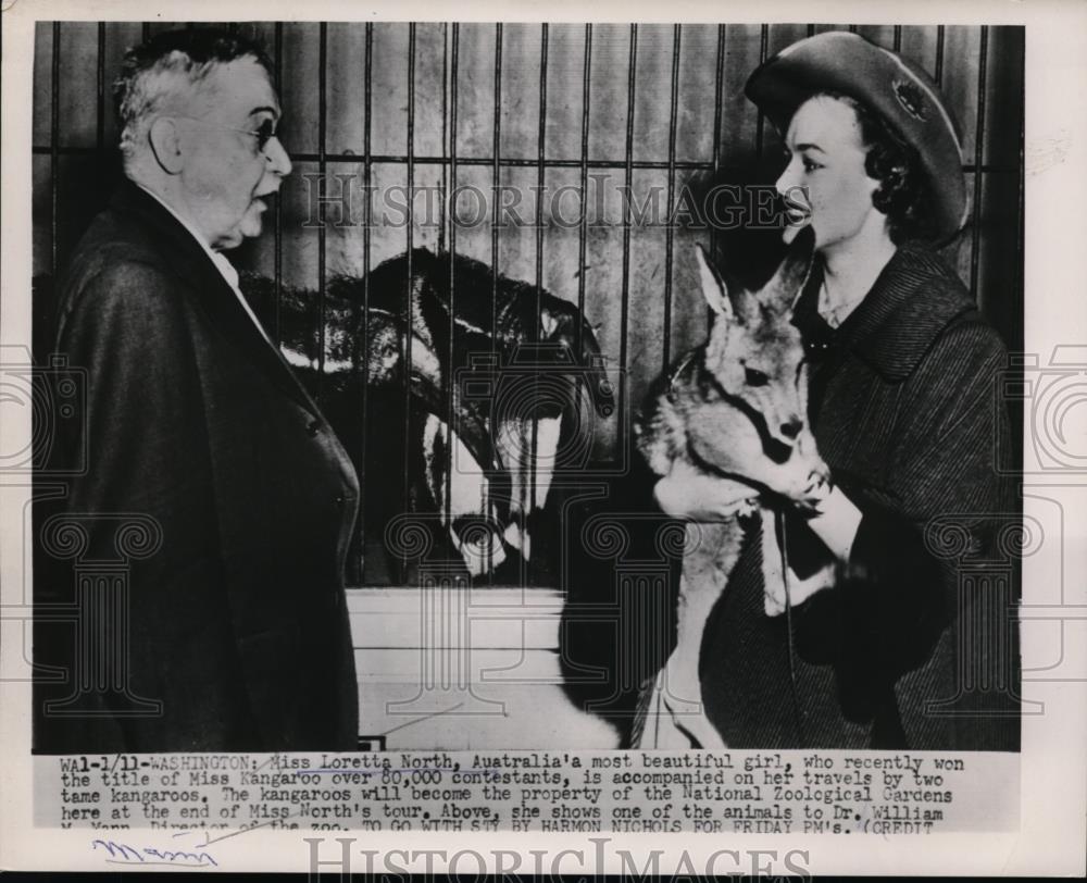 1952 Press Photo Loretta North of Australia with kangaroo in Washington DC - Historic Images