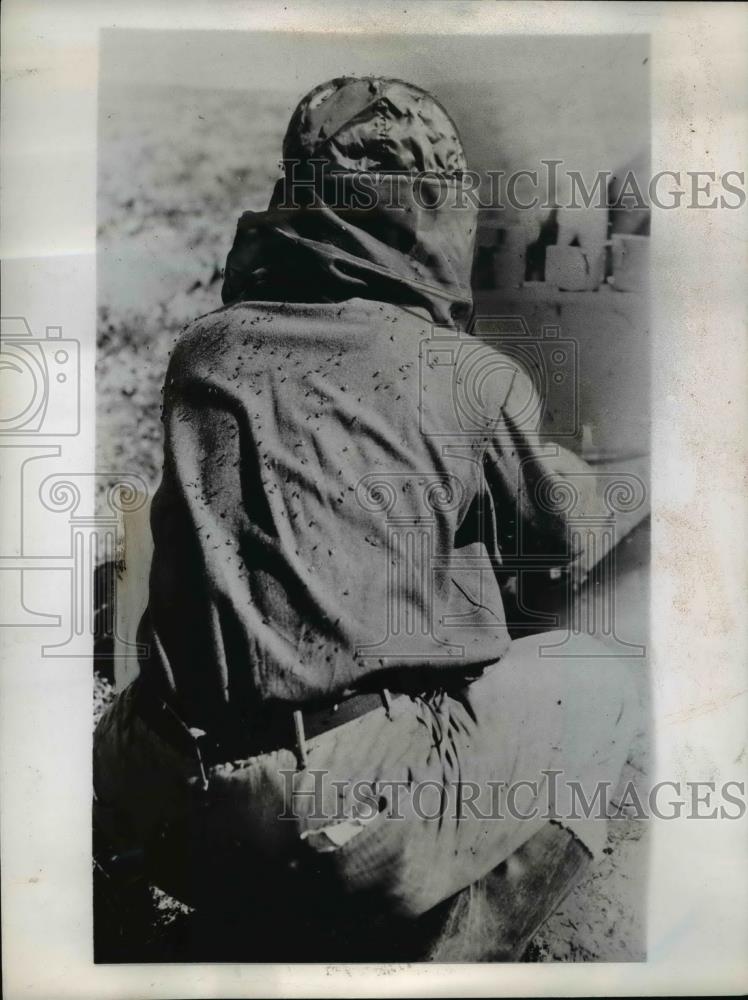 1946 Press Photo Man coveredd in mosquitos at Point Barrow Alaska - nee85815 - Historic Images