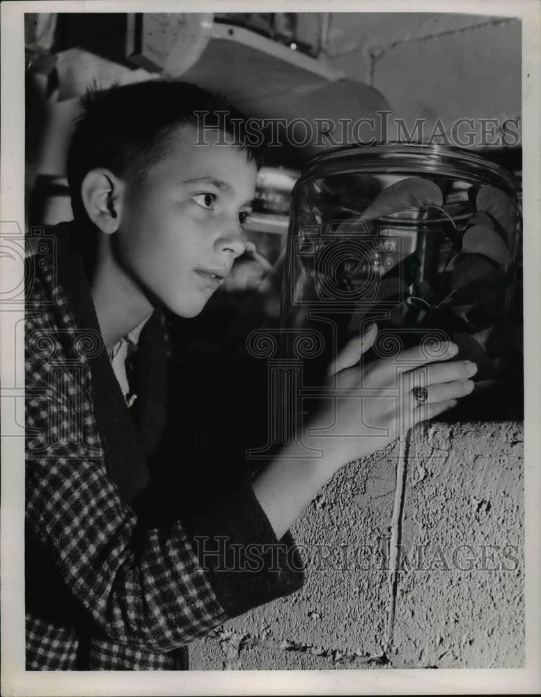 1957 Press Photo Gary Schmid holding a Mantis - nee85824 - Historic Images