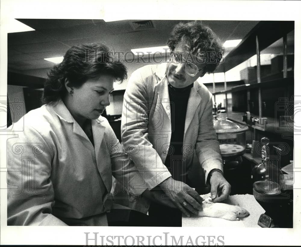 1988 Press Photo Doctors at University&#39;s Knight Chemistry Lab Experimenting Rat - Historic Images