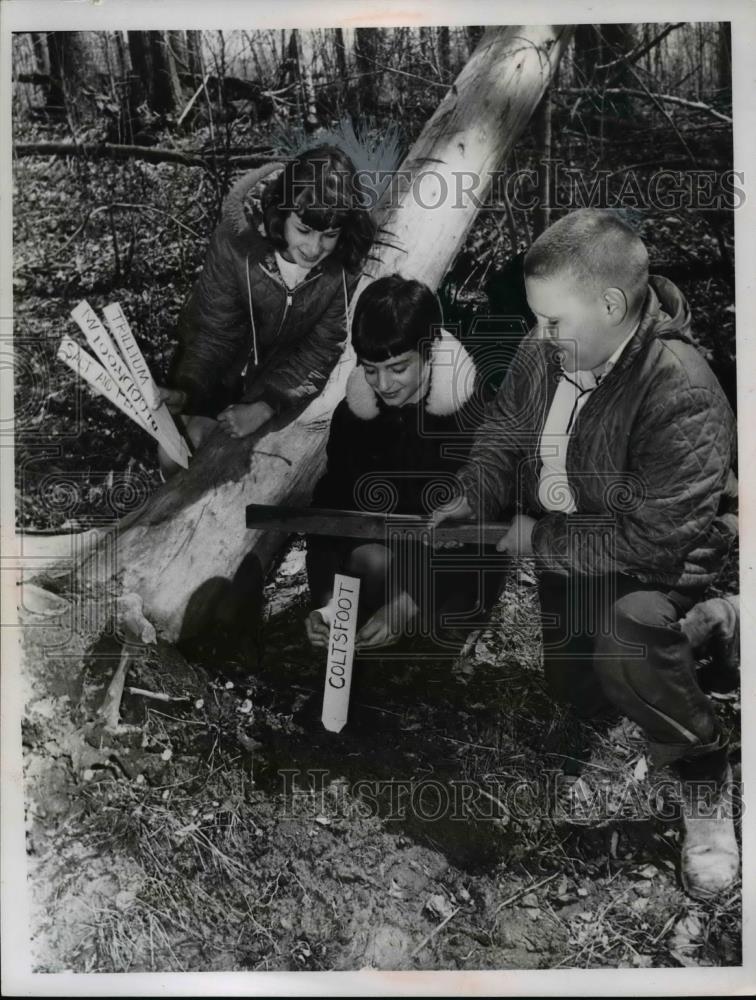 1967 Press Photo Headlands school kids Beth Dovenbarger, Duane Elliott - Historic Images