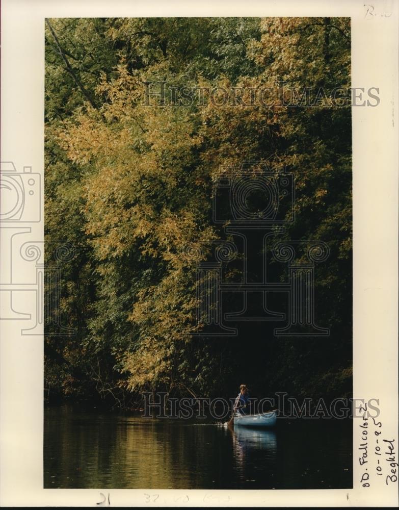 1995 Press Photo Canoe - orb03886 - Historic Images