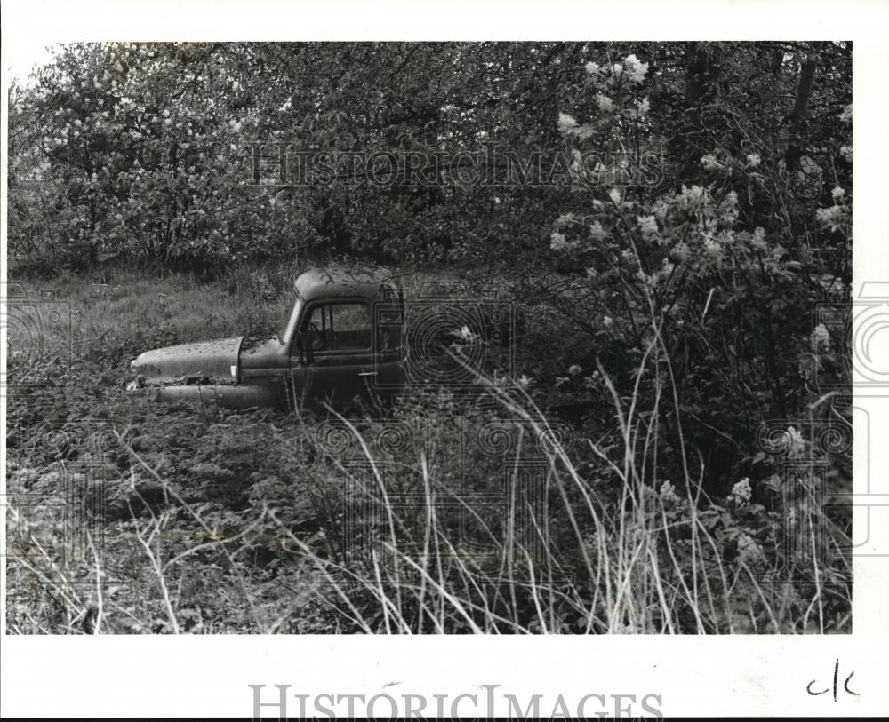 1987 Press Photo Old Truck Overgrown With Weeds By A River In Vancouver - Historic Images