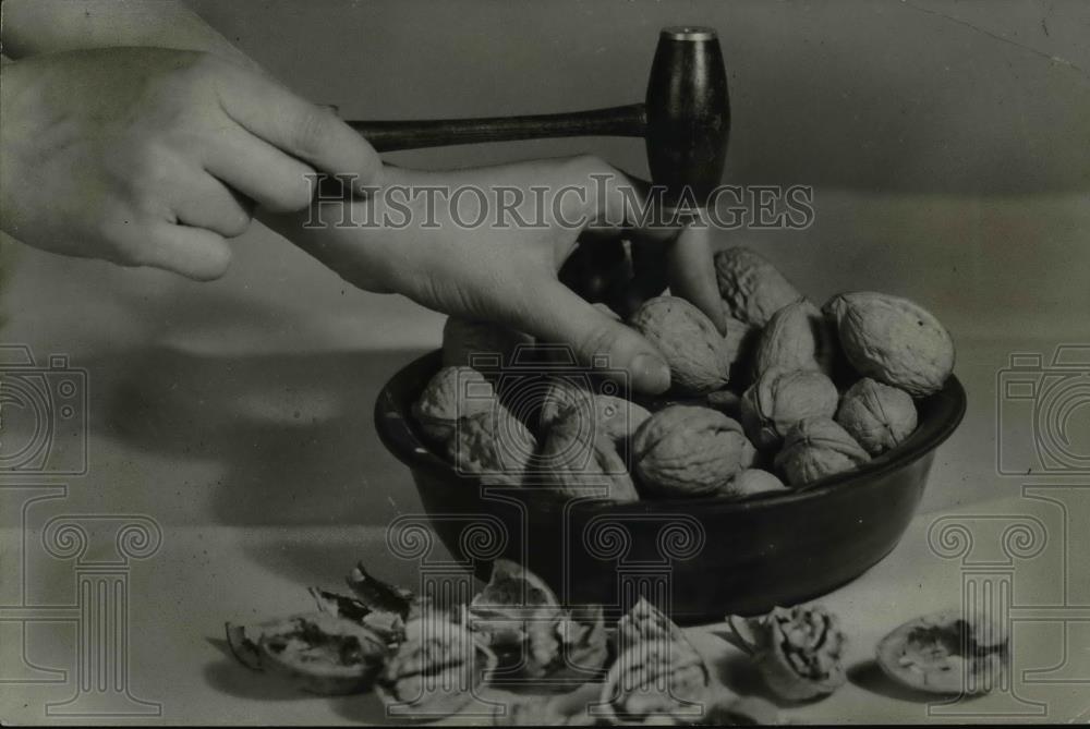 1935 Press Photo Harvesting walnuts in the Pacific northwest - orb59406 - Historic Images