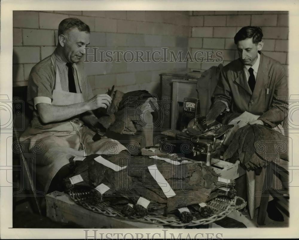 1941 Press Photo Tobacco is Sampled for the Next Auction - orb62937 - Historic Images