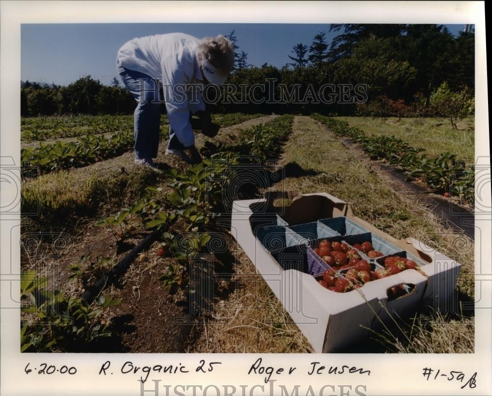 2000 Press Photo Organic Farm in Oregon - orb12533 - Historic Images