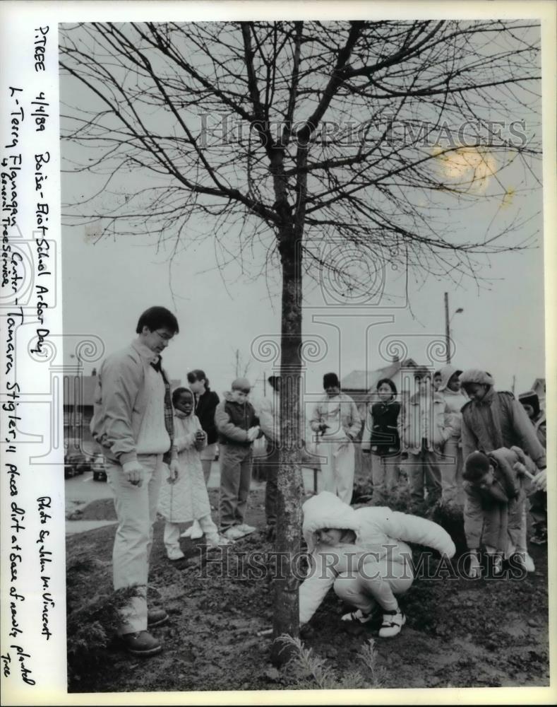 1989 Press Photo Newly Planted Maple at Loise&quot;eliot School to Mark Arbor Week - Historic Images