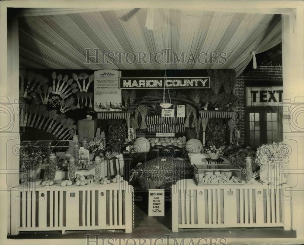 1929 Press Photo Marion County Booth at State Fair - orb18222 - Historic Images