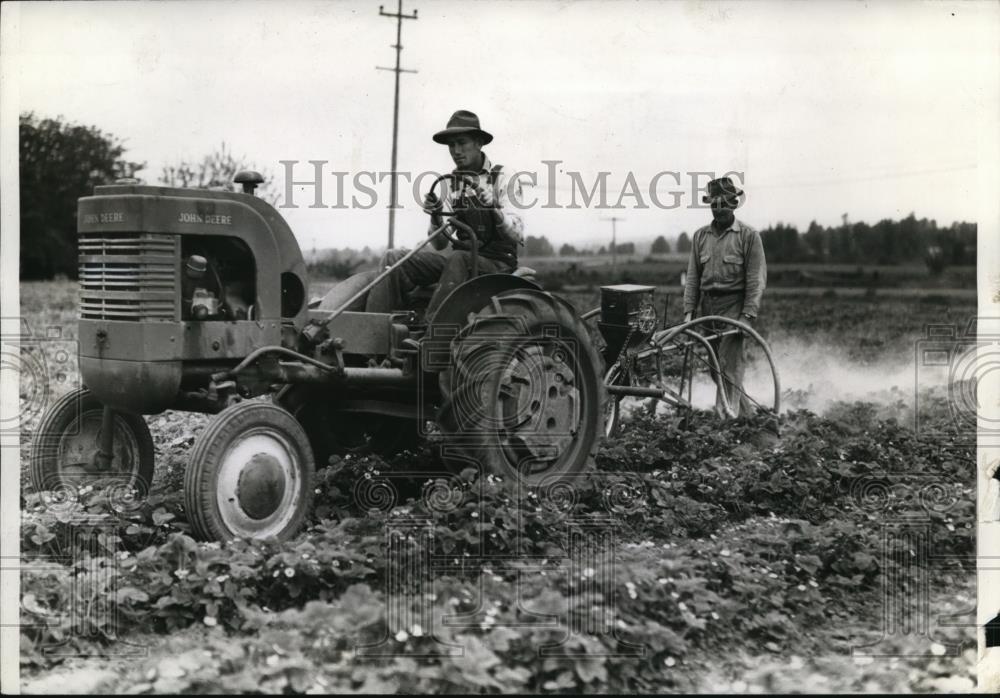 1943 Press Photo George Spada strawberry farm-dusting system - orb64675 - Historic Images