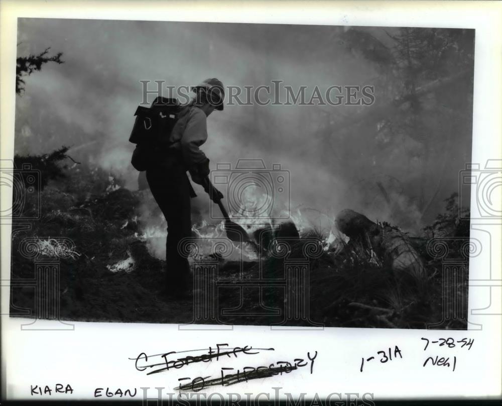 1994 Press Photo Forest Fire - orb12112 - Historic Images