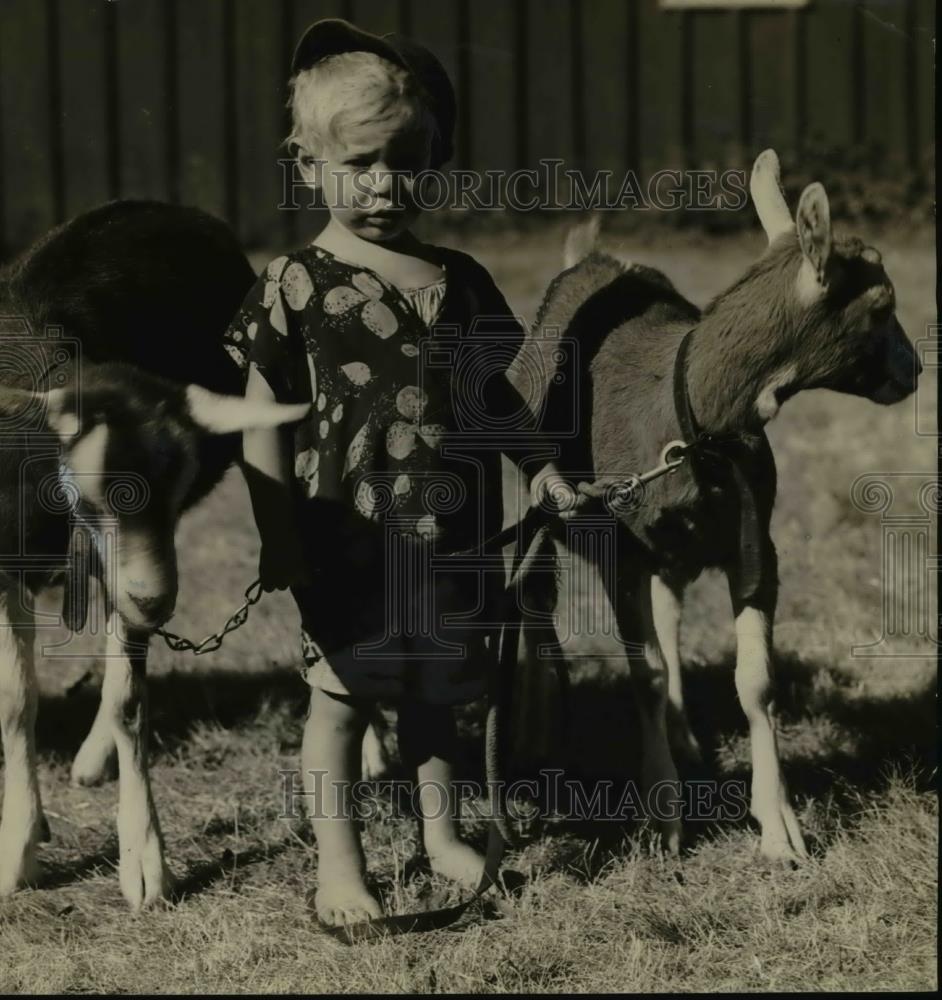 1936 Press Photo Tommy Gribbke w/ his goats that won children&#39;s livestock class. - Historic Images