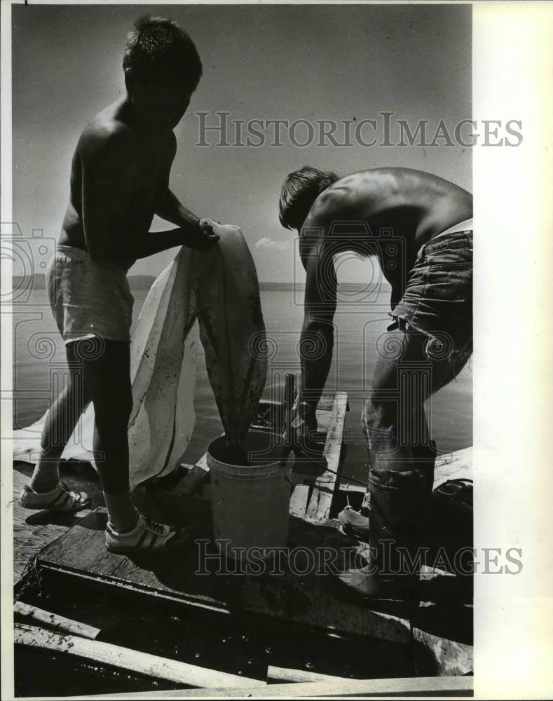 1982 Press Photo Shrimp Harvesting - orb49139 - Historic Images