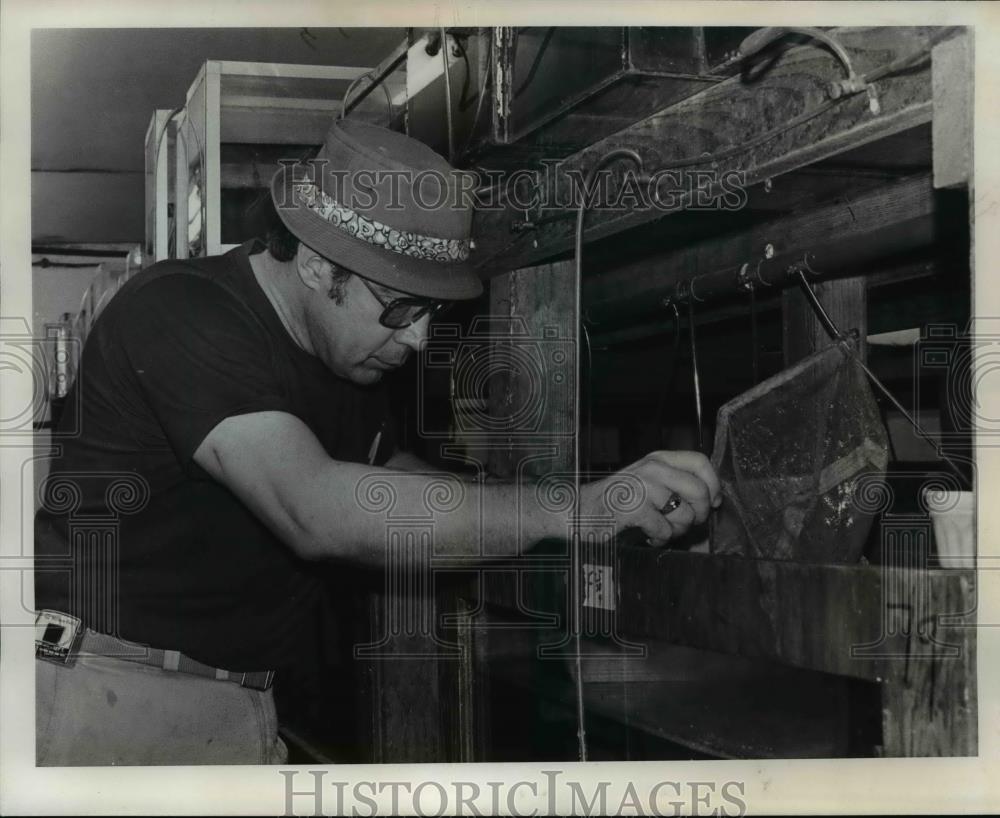 1975 Press Photo Richard Kimker-Coos Bay Frog farm - orb70616 - Historic Images