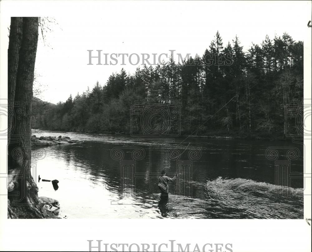 1987 Press Photo A fly fisherman casts for "redside" trout on the McKenzie River - Historic Images