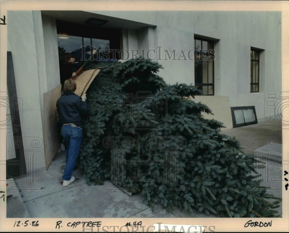 1986 Press Photo State Property Mgr Ron Bell &amp; Jim Nelson push Christmas tree - Historic Images
