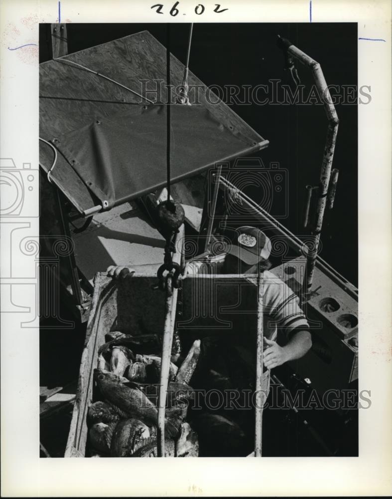 1984 Press Photo Dory fisherman Randy Ellis unloads catch from his boat. - Historic Images