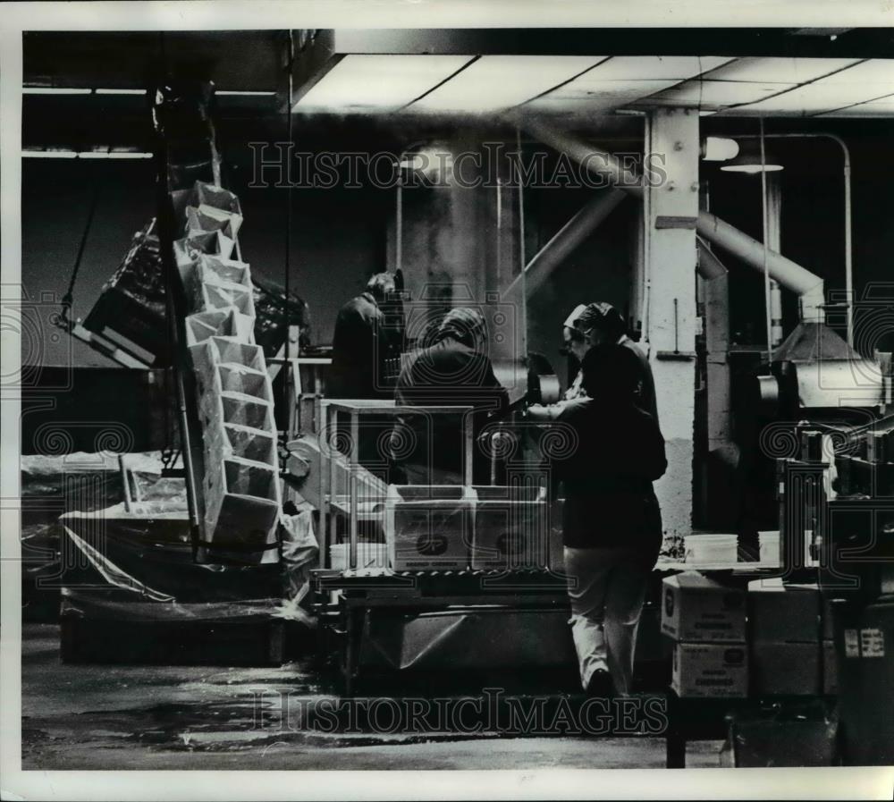 1978 Press Photo Assembly line workers pack Christmas fruit on conveyor belt - Historic Images