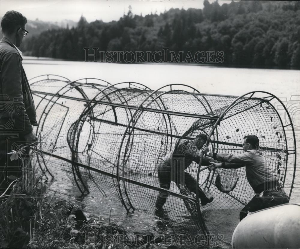 1956 Press Photo These specially made fyke nets were used this week - -  Historic Images