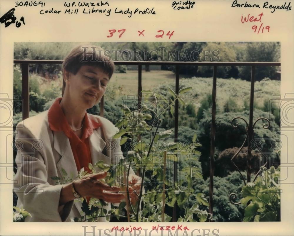 1991 Press Photo Marge Wazeka's passion is to grow tomatoes in an Oreg ...