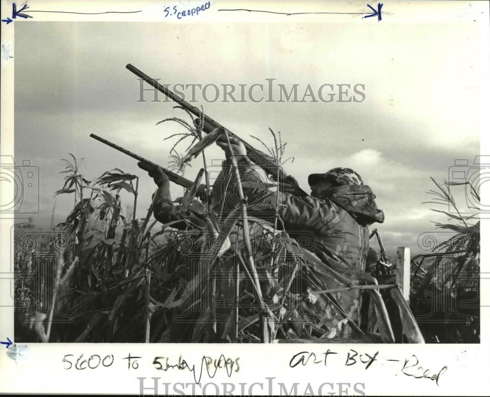 1987 Press Photo Duck Hunters Pop from Concealment in a Cornstalk Blind - Historic Images