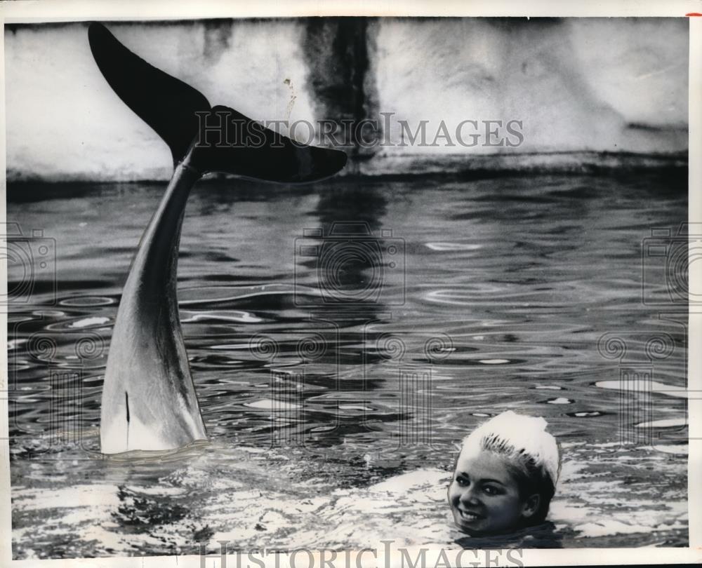 1969 Press Photo Kathy Troutt &amp; a dolphin at Taronga Park Zoo in Australia - Historic Images