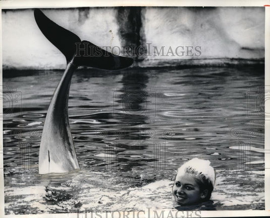 1969 Press Photo Kathy Troutt & a dolphin at Taronga Park Zoo in Australia - Historic Images