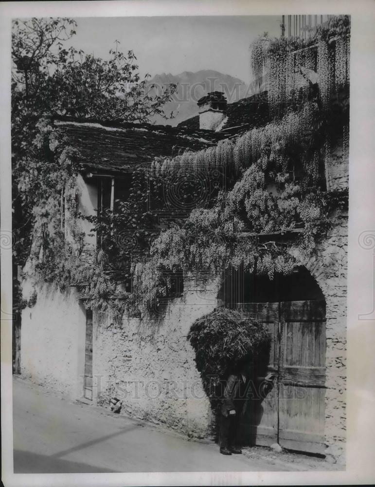 1935 Press Photo Wisteria on walls of old homesteads in Locarno Switzerland - Historic Images
