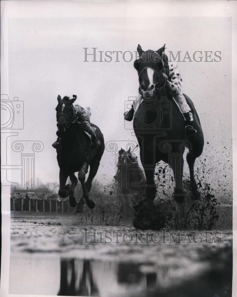 1950 Press Photo RC Bernhardt on Happy Devil wins at Jamaica NY vs Pictus - Historic Images