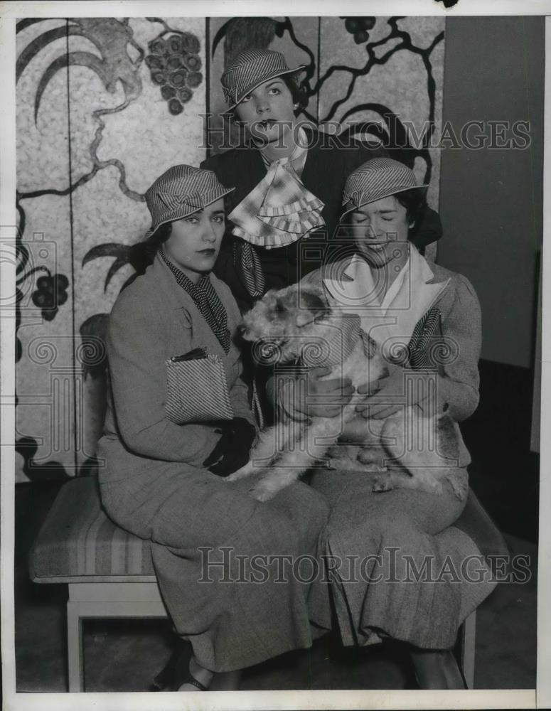 1933 Press Photo Society worked on Doggy Fashion Show for Neurological Institute - Historic Images