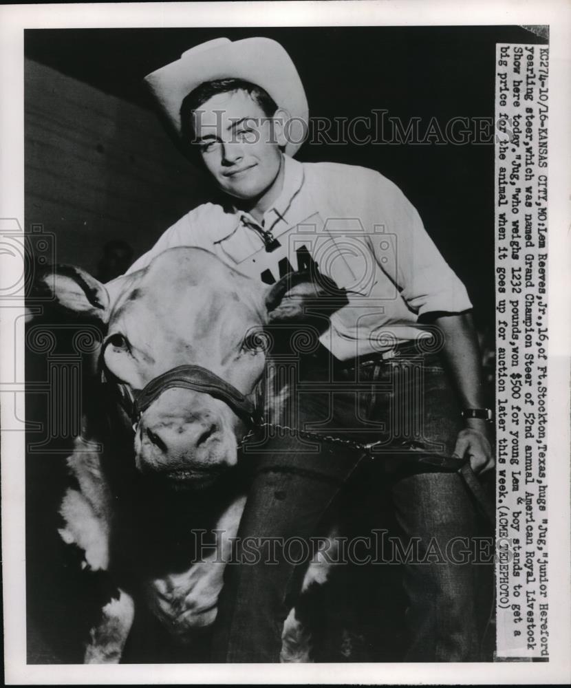 1960 Press Photo Lem Reeves Jr.Grand Champion 52nd American Royal Livestock - Historic Images