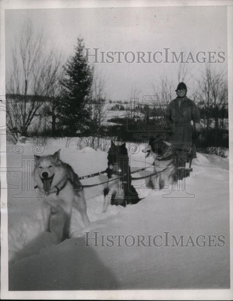 1937 Press Photo A man &amp; his dog sled team training in the snow - nes44113 - Historic Images