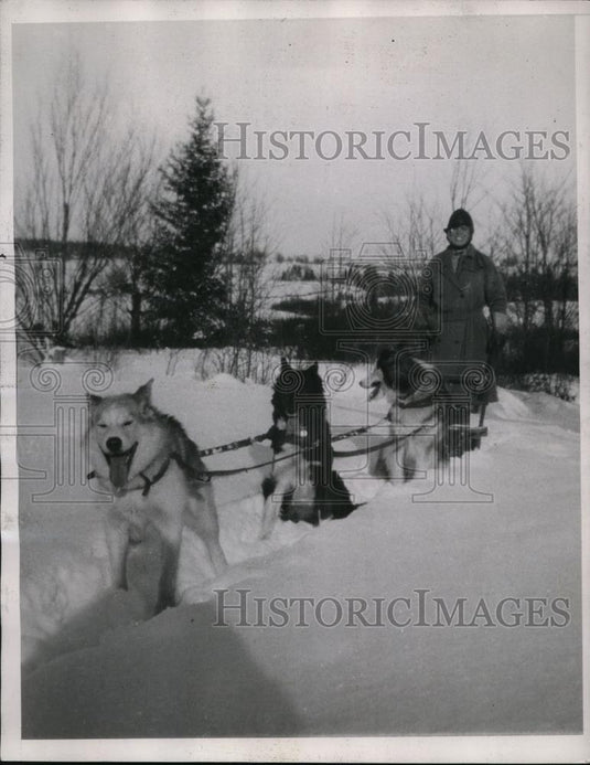 1937 Press Photo A man & his dog sled team training in the snow - nes44113 - Historic Images