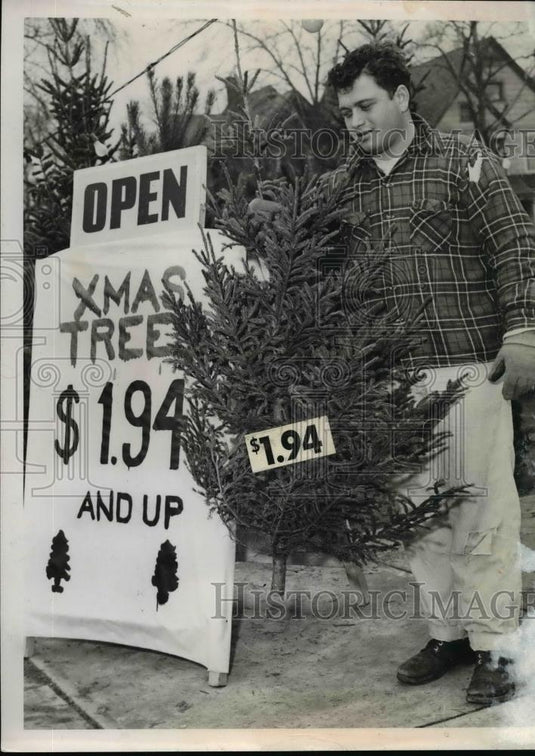1954 Press Photo Norman Moses sells Christmas trees in Cleveland Ohio - Historic Images